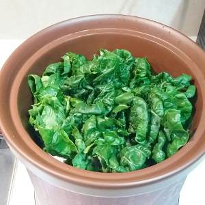 咸猪骨奶白菜汤