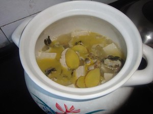 黄刺鱼炖豆腐