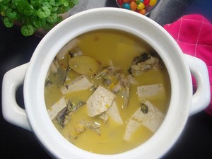 黄刺鱼炖豆腐