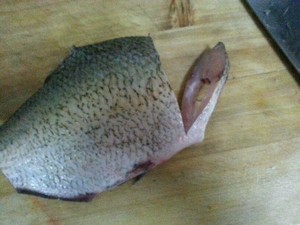 孔雀开屏鱼.