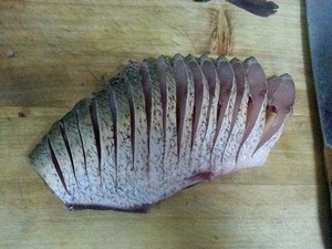 孔雀开屏鱼.