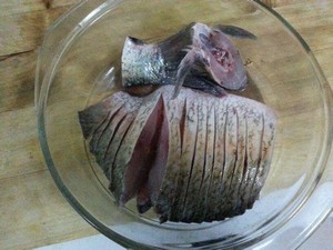 孔雀开屏鱼.