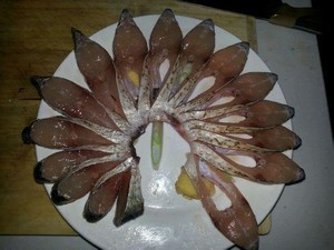 孔雀开屏鱼.