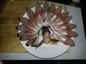 孔雀开屏鱼.