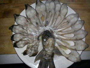 孔雀开屏鱼.