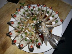 孔雀开屏鱼.