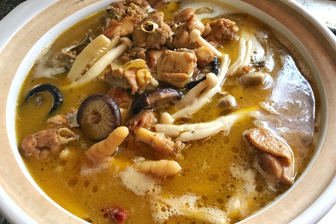 砂锅土鸡炖香菇