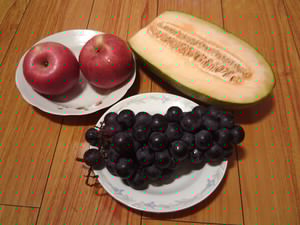 珍珠玉菊
