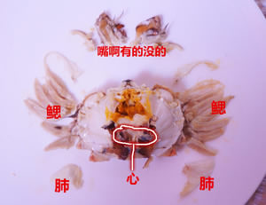 吃掉一只大闸蟹（完美食用方案）