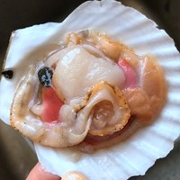 蒜蓉粉丝蒸扇贝粉丝入味有诀窍