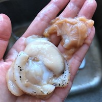 蒜蓉粉丝蒸扇贝粉丝入味有诀窍