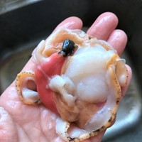 蒜蓉粉丝蒸扇贝粉丝入味有诀窍