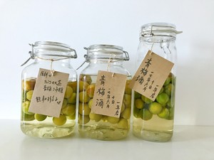 泡一罐夏天味道的青梅酒