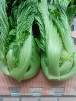 烫芥菜