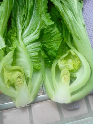 烫芥菜