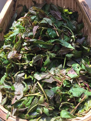 香椿油