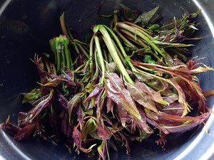 炸香椿
