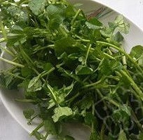 西洋菜煲筒骨汤