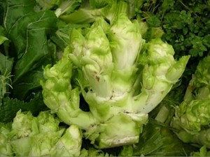 脆腌抱子芥