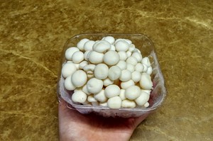 白玉菇肉饼（春回大地）