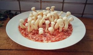 白玉菇肉饼（春回大地）