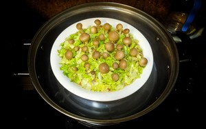 白玉菇肉饼（春回大地）