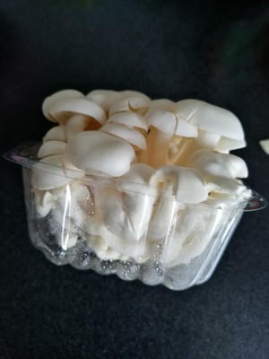 清炒白玉菇