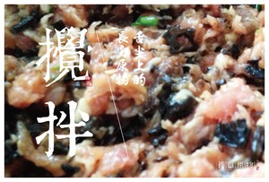东北木耳榛蘑肉馅饺子