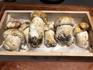新鲜姬松茸炒肉片