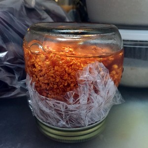 蜂蜜桂花