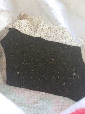 薄荷种植手册，如何把你的薄荷养到爆盆