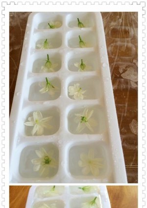 冰封茉莉