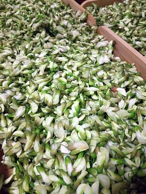 鲜槐花保存方法