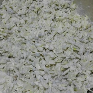 槐花三吃