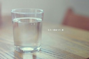 菊花金银花枸杞茶