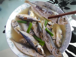 铁鱼干  巴浪鱼干