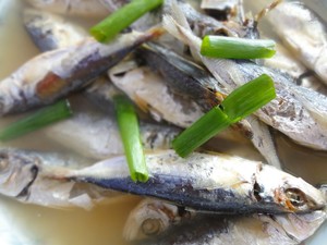 铁鱼干  巴浪鱼干