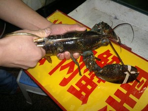 蒜蓉蒸龙虾