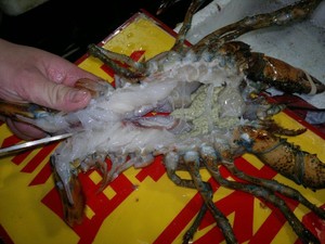 蒜蓉蒸龙虾