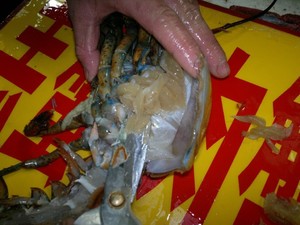 蒜蓉蒸龙虾