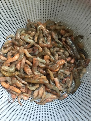 小芹菜炒小河虾
