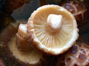 下饭营养好菜——油焖大花菇