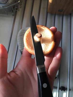 巧切香菇花