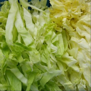 番茄圆白菜（包菜）丝