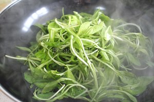 史上最好吃的马兰头拌香干