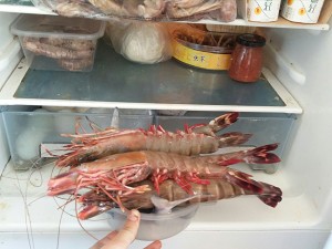 茄汁草虾泡饭