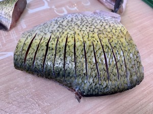 ?年夜菜（年年有鱼）孔雀开屏鱼?
