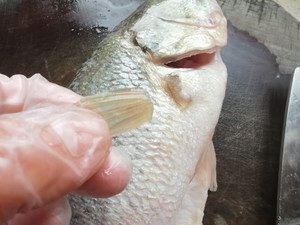 香煎鲈鱼块