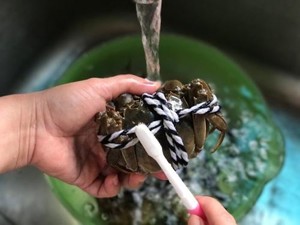 大闸蟹这样做不寒！超香！超好吃！香煎蟹!
