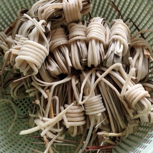 灯芯草无花果南北杏煲猪骨